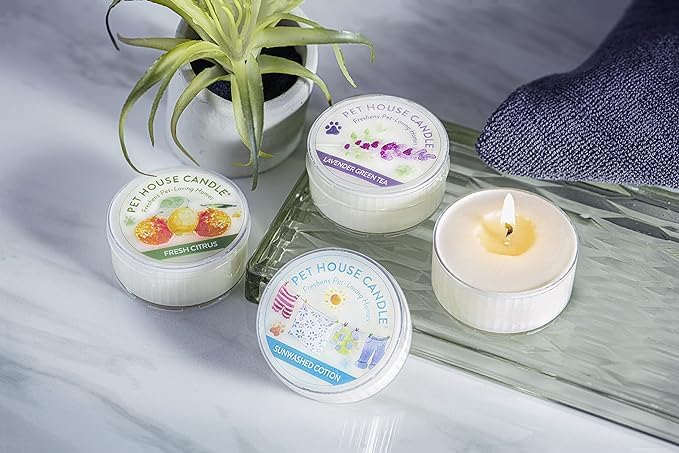 One Fur All Apple Cider Pet Odor Eliminating Mini Candle - 3 Pack - Natural Wax, Non-Toxic, Scented, 8-10 Hours Burn Time - Made